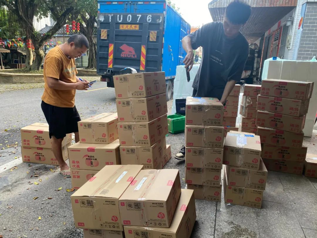 “百千万工程”添“荔”量丨珠光集团消费帮扶助力莲洲荔枝销售